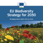 eu-biodiversity-strategy-for-2030